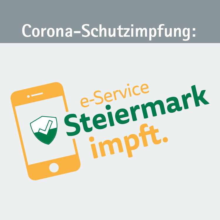e-Service © Land Steiermark